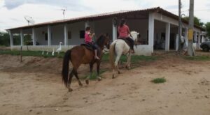 Fazenda Santa Helena (Taipú/RN)
